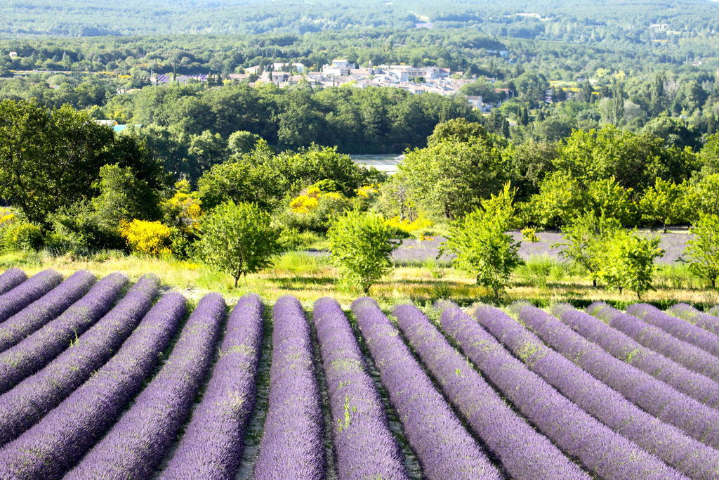 La Bugadiere Salles-sous-Bois Exteriör bild