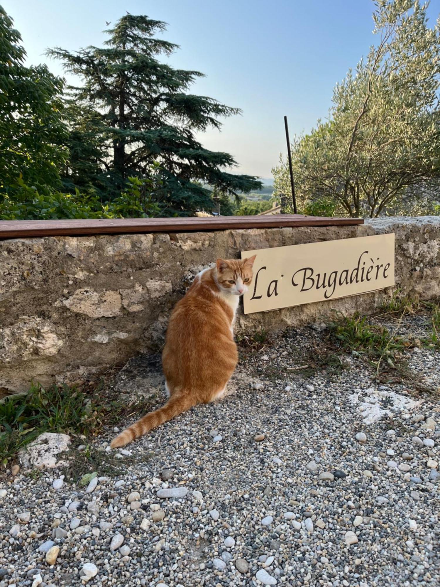 La Bugadiere Salles-sous-Bois Exteriör bild