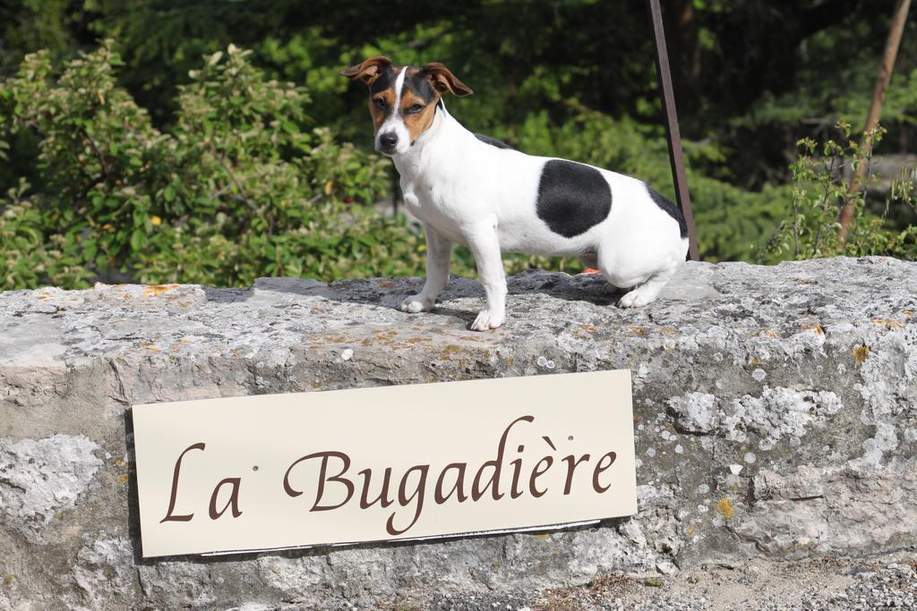 La Bugadiere Salles-sous-Bois Exteriör bild